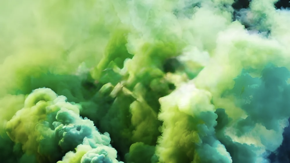 Why Are We So Toxic?