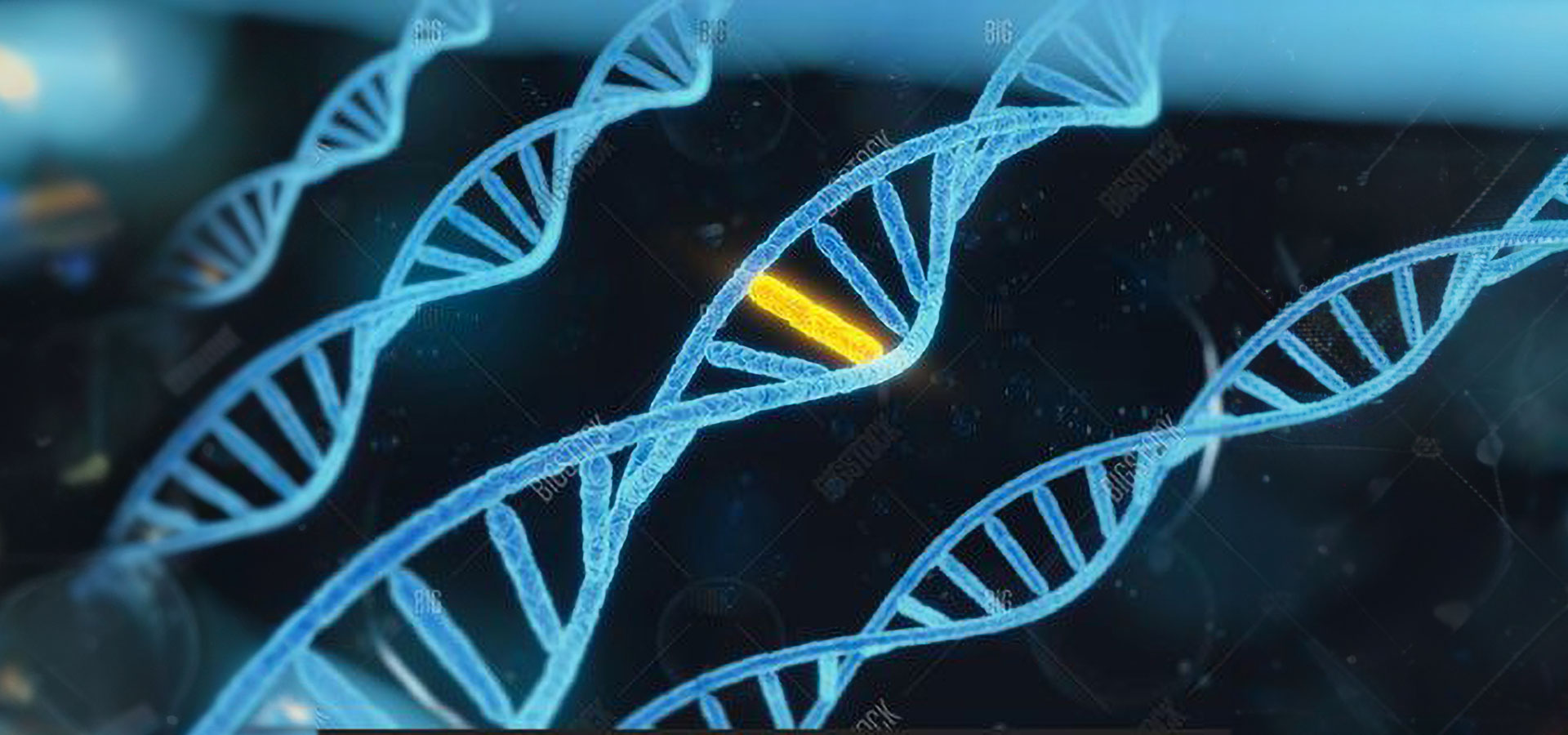 Dementia Can Be Reversed!